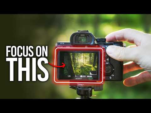 Woodland Photography is HARD - Here is How to Make it EASIER!