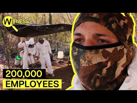 Inside Mexico's Sinaloa Cartel: The World's Most Violent Drugs Operation