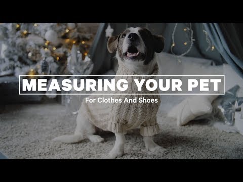 Dog's Lion Mane Costume Lion Wig Festival Party Fancy Hair Dog Clothes - Second Medium