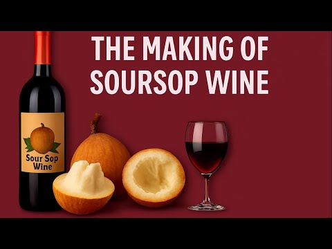 Santol Wine with Syrup – Easy Homemade Wine Recipe at Home