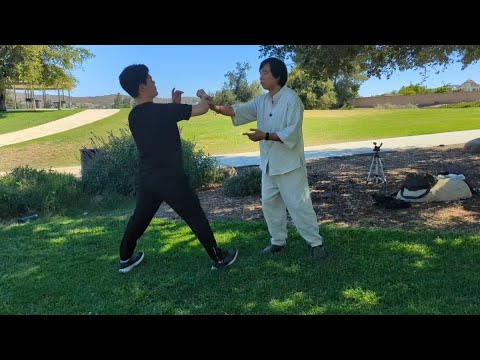 Tai Chi Push Hands: Mastering Energy Control