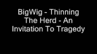 BigWig - Thinning The Herd