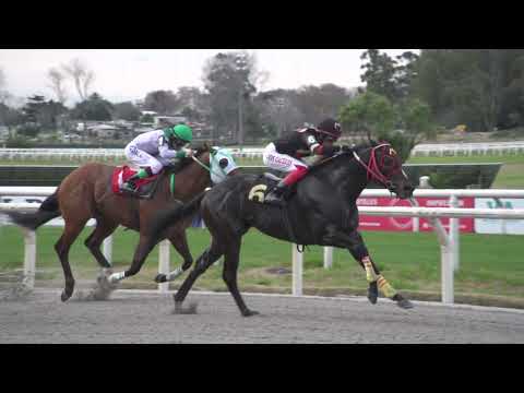 230909 c03 SALVADOR DALI (BRZ)