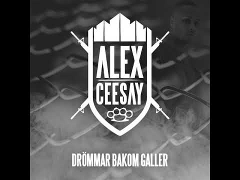 Alex Ceesay feat Salle och Marcus Berg - Paranoiia