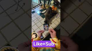 New episode today #pokemon #pokemonchannel #pokemoncards #pokemontcg #cards #luffy #pets #cat