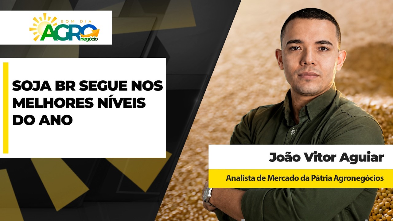 Puxada forte da soja em Chicago combinada a prêmios sustentados no Brasil mantém preços nos...
