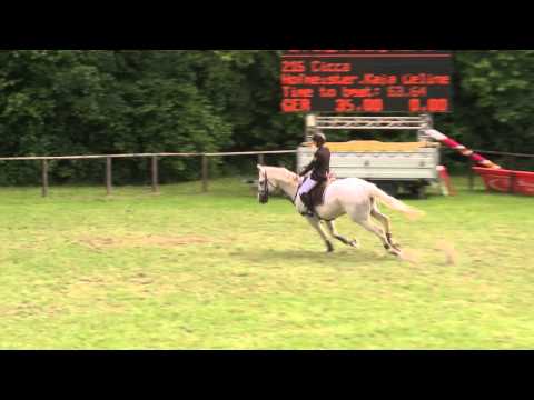 Jettingen 2015 Prf04 39 Kaja Celine Hofmeister   Cicca