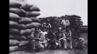 Aula 178: (Aula 33 de Geografia do Paraná) - Os Ciclos Econômicos Paranaenses (Café)