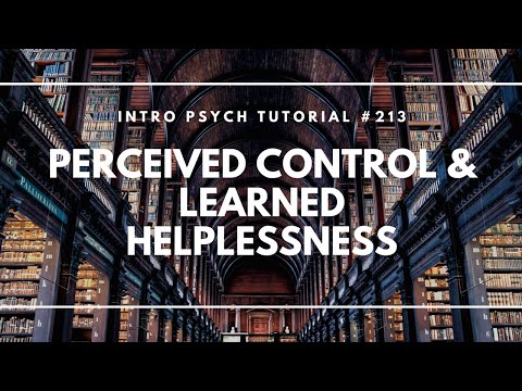 Introduction to Health Psychology Intro Psych Tutorial 206