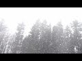 Half the World I Judah Earl #music #cinematic #rest