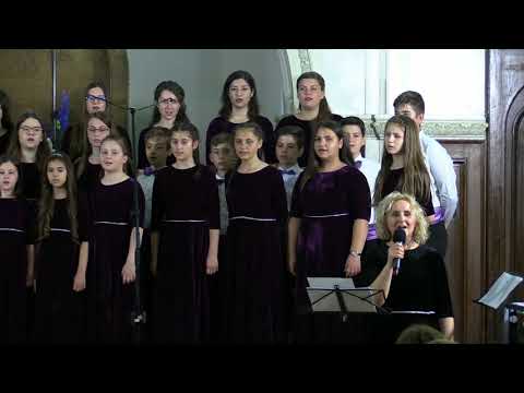 Corul Dynamis - Un torent de fericire