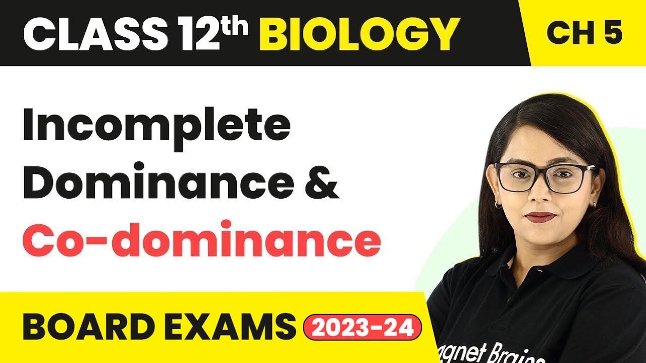 Class 12 Biology Ch 5|Exception of Mendelian Principle,Incomplete Dominance & Co-dominance CBSE/NEET