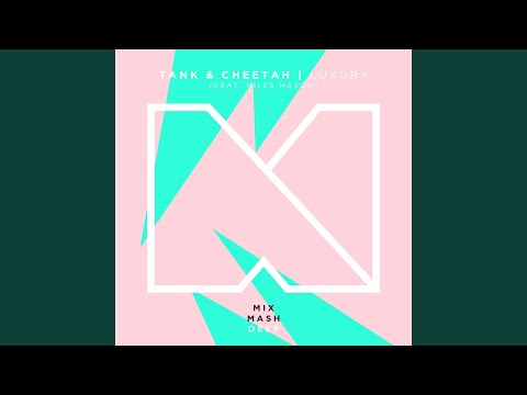 Luxury (feat. Niles Mason) (Radio Edit)