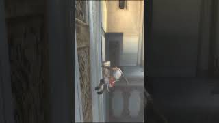 Prince of Persia: The Two Thrones - PC Playthrough / Let's Play / Walkthrough - Gameplay