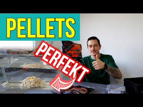 Die Perfekten Pellets! So gelingen sie immer .