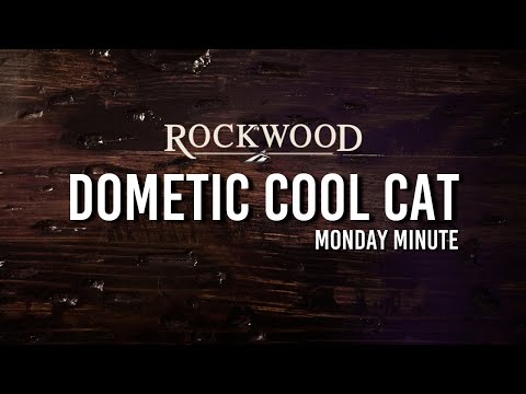 Monday Minute: Dometic Cool Cat