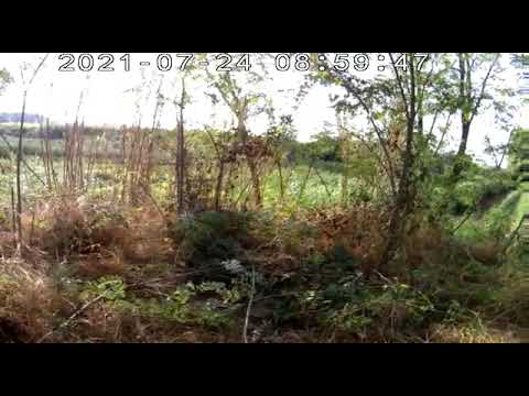 buen tiro estrenando rifle 270wsm empezamos la temporada 2021 bien Oscar  Rivera Roldan 24-7-2021