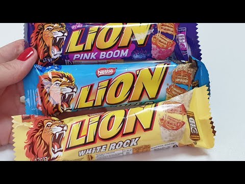 Chocolates Bars Challenge Lion.