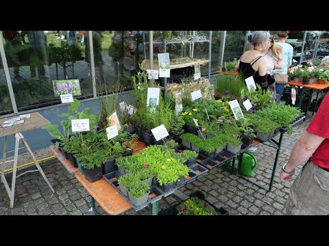 Pflanzenbörse Würzburg
