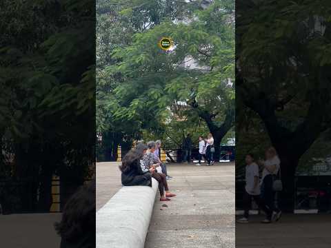Nuestra gente y su día a día.Plaza Bolívar de San Cristóbal andina y cordial.Táchira. Venezuela.