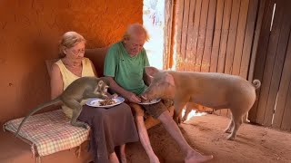 Os vídeos mais engraçados criados por IA  - Parte 10 