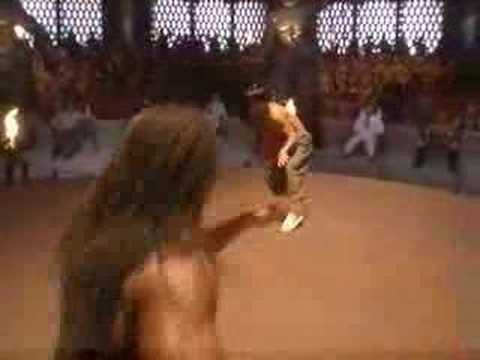 Monkey Kung Fu and Capoeira fight scene