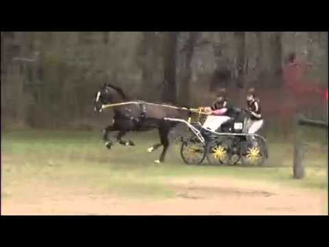 Mannkato: Marathon LER 2016   Small