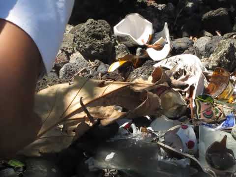 Tasi and Letapu Video grave Saleaula