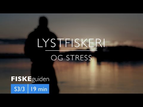 FISKEguiden: Lystfiskeri og stress