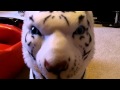 Elmo Annoys The Tiger