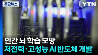 인간 뇌 학습 원리 모방...저전력·고성능 AI 반도체 개발 / YTN