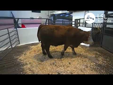 Carnaross Lot 319 21-01-2021