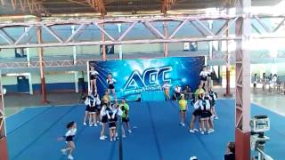 tigres love andres sabella 2013