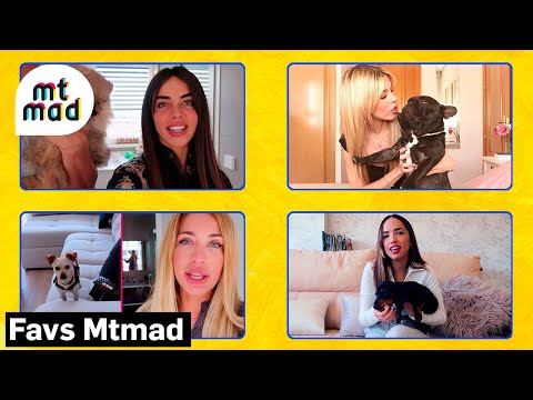 Canela, Cocco, Rosito o Edu: conoce a las mascotas de Violeta, Oriana, Mayka, Lucía y otros famosos