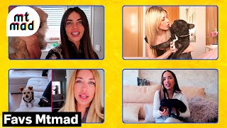 Canela, Cocco, Rosito o Edu: conoce a las mascotas de Violeta, Oriana, Mayka, Lucía y otros famosos
