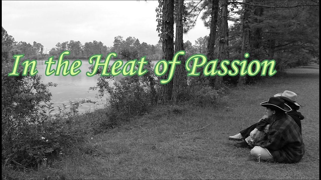 In the Heat of Passion