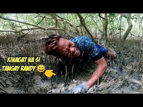 ep.391 p2 -DAKUMO HUNTING | Grabe ang dukutan pahirapan ang pagkuha | Catch & Cook