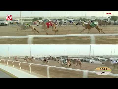 ش 4 (الصباوي) لـ جابر يحيى بن مانع ابوساق 5:53:53 , مهرجان ختامي الشحانية 2026/04/20 حقايق