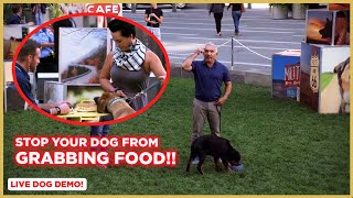 How To Stop Your Dog From Grabbing Food! (Dog Tips with Cesar Millan)