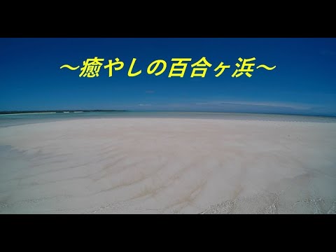 【ヨロン島紹介】癒やしの百合ヶ浜