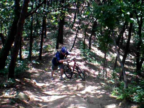 Downhill Korea