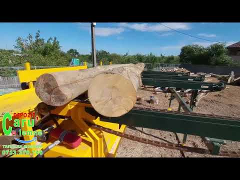 Lemne de foc Teleorman | Depozit Carul cu lemne din Trivalea Mosteni depozit de lemne peleti carbuni