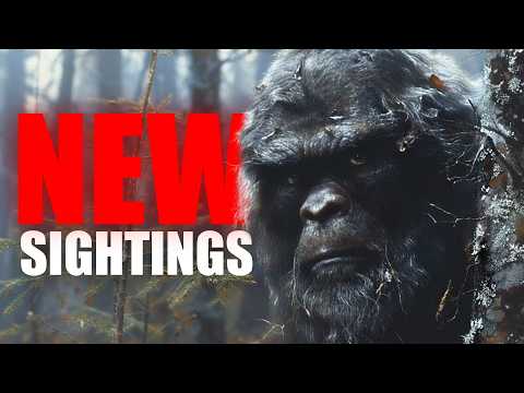 Top 12 CREEPIEST Bigfoot Videos EVER