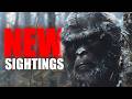 Top 12 CREEPIEST Bigfoot Videos EVER