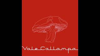 Café Tacvba - Vale Callampa | EP Completo
