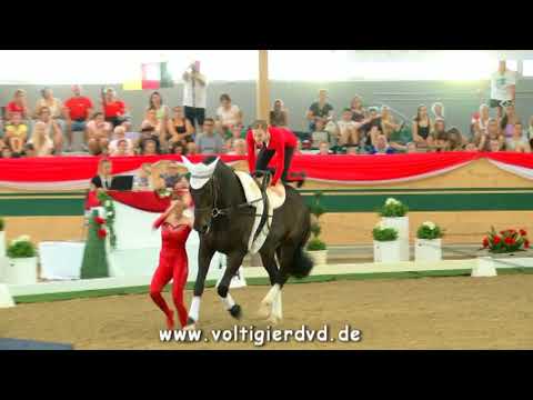 Team Great Britain (GBR) - FEI Junior WC Ebreichsdorf 2017 - Squad 06