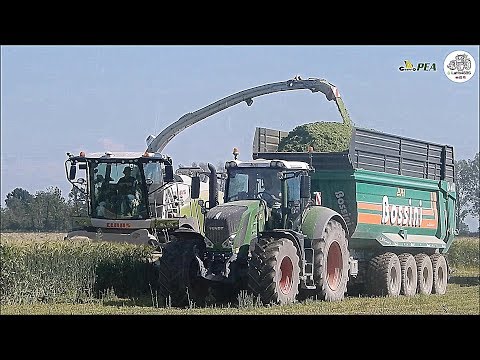 Claas Jaguar 980 Type 498 SHREDLAGE Special Edition & Bossini RA 400 - Gruppo PEA - Wheat silage