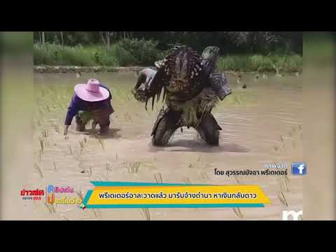 คลิกเพื่อดูคลิปวิดีโอ