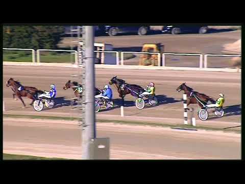 Trotto 18/10/2020 - prova di qualifica