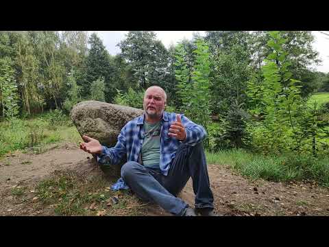 Czesław Miłosz. Który skrzywdziłeś...